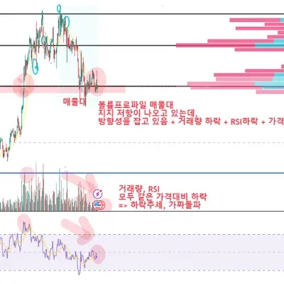 [30일 챌린지 21기 2주차] RSI지표