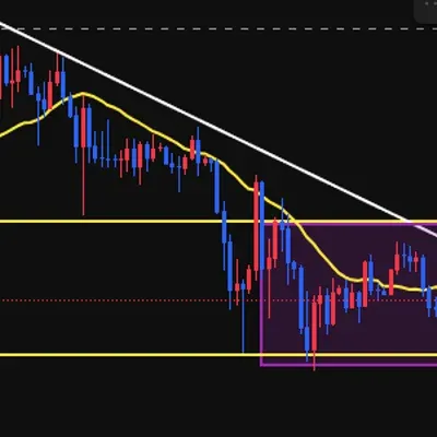 질문 있습니다!