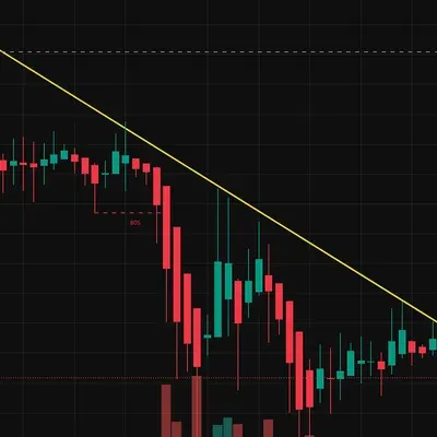 [30일 챌린지 19기 4주차]