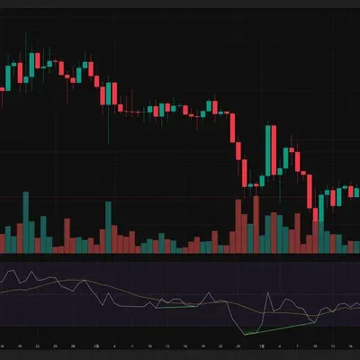 [30일 챌린지 21기 2주차] RSI지표
