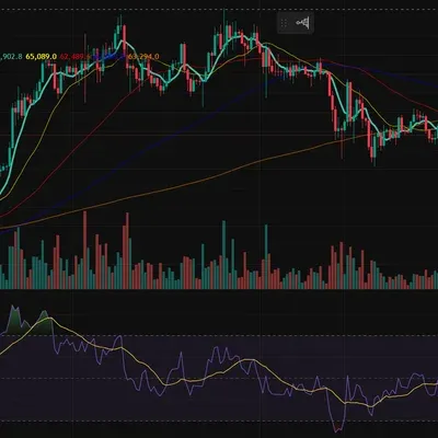 [30일 챌린지 21기 2주차] RSI상대강도지수 인증미션