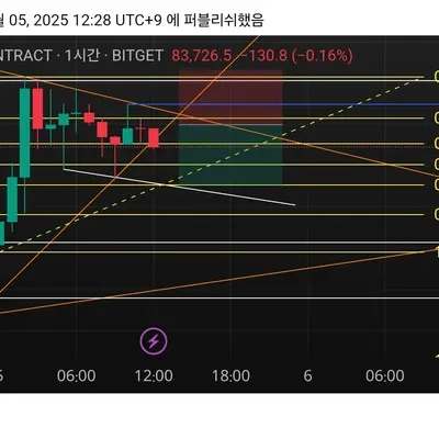 100회 트레이딩 (3/100)