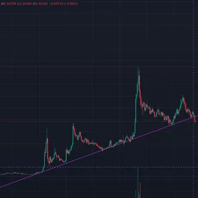 [30일 챌린지 3주차]