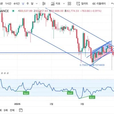 [30일 챌린지 21기 2주차]RSI