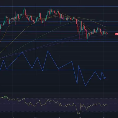 [30일 챌린지 20기 3주차] 