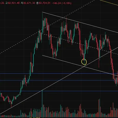 [30일 챌린지 19기 4주차] 수익인증