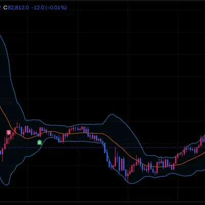 [30일 챌린지 20기 3주차]