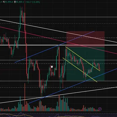 [30일 챌린지 19기 4주차]
