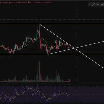 [30일 챌린지 22기 1주차] 작도,,