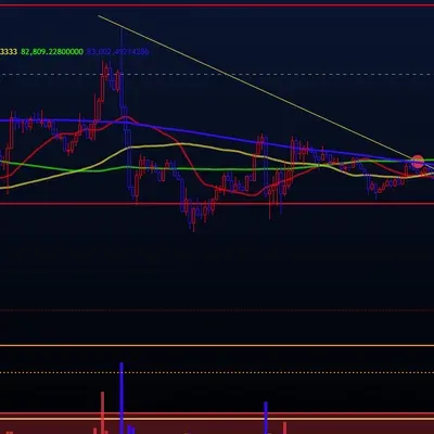  [30일 챌린지 19기 4주차] 