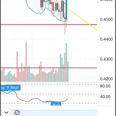 [30일 챌린지 19기 4주차]