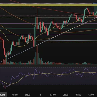 [30일 챌린지 21기 2주차]