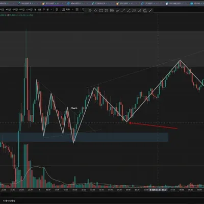 30일 챌린지 20기 강의 후기 