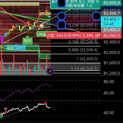100회 트레이딩 2회차