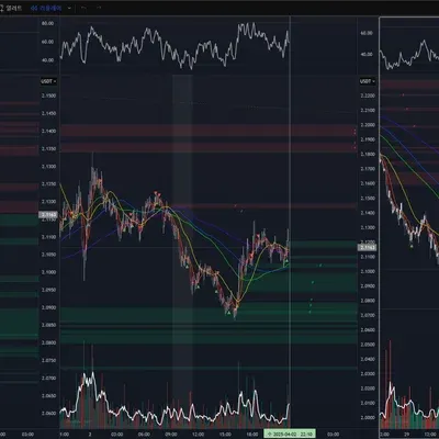[30일 챌린지 19기 4주차]