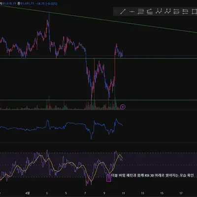 [30일 챌린지 22기 2주차] 비트코인 RSI 지표