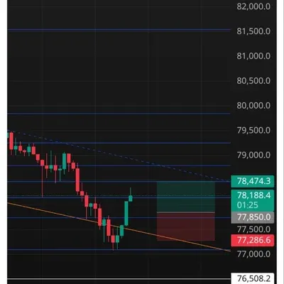 100회 트레이딩 (7/100)