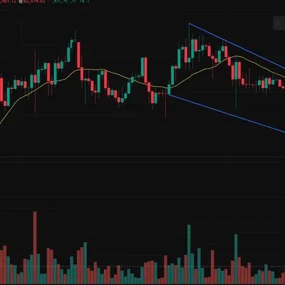 [30일 챌린지 23기 1주차]