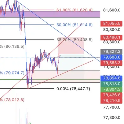 100회 트레이딩 (13/100)