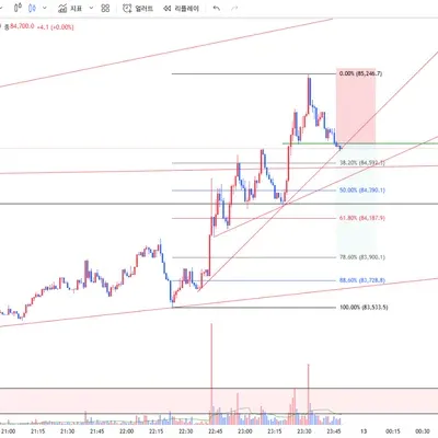 100회 트레이딩(16/100)