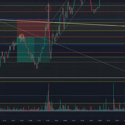 100회 챌린지 (5회) 4승1패