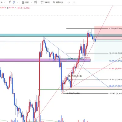 100회 트레이딩(15/100)