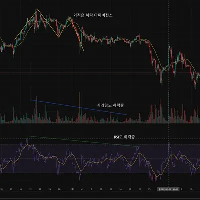 [30일 챌린지 22기 2주차] RSI 지표