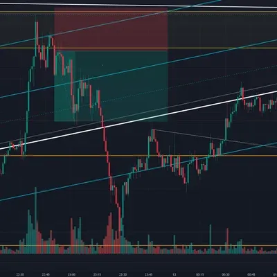 100회 챌린지 (다시 시작하는 이유) (1회) 1승