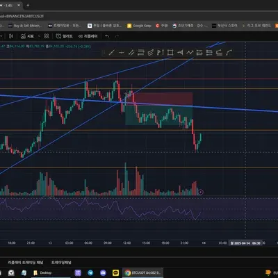 100회 트레이딩 챌린지 (10/100)