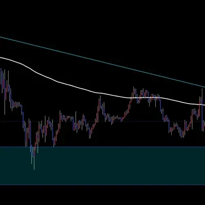 30일 챌린지 23기 1주차