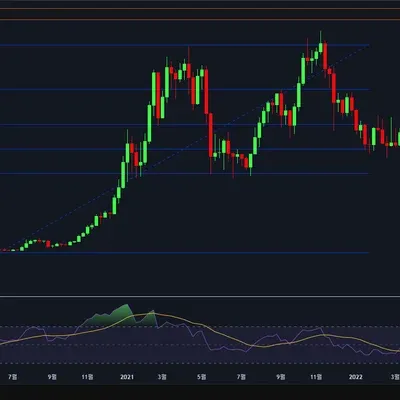피보나치 비율의 적용