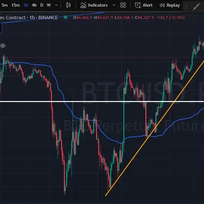 [30일 챌린지 23기 1주차] 지지추세선