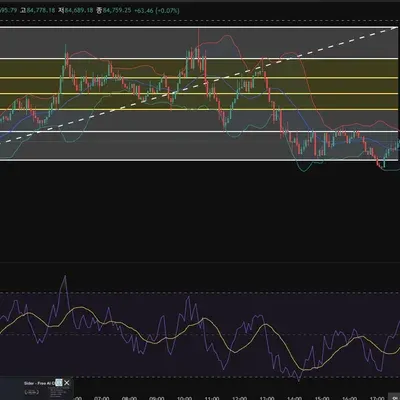 30일 챌린지 20기 4주차