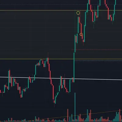 100회 챌린지 (10회) 7승 3패
