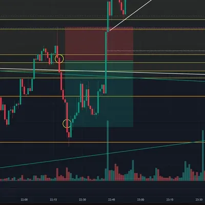100회 챌린지 (9회) 7승 2패