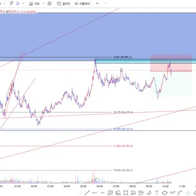 100회 트레이딩 (17/100)