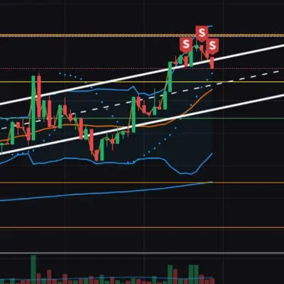 100회 트레이딩(3/100)