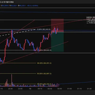 100회 트레이딩(1회차 / 250413)