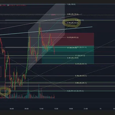 100회 트레이딩 1