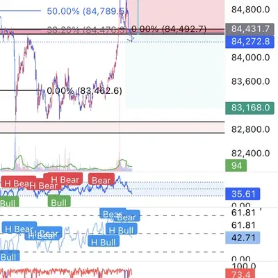 100회트레이딩 챌린지(21/100)