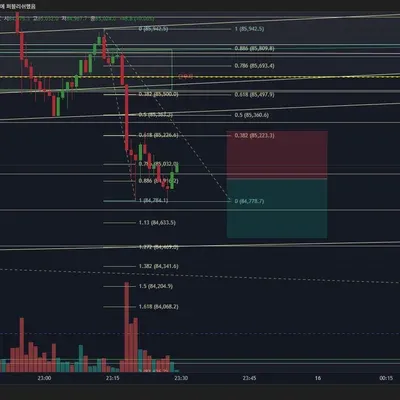 100회 트레이딩 5
