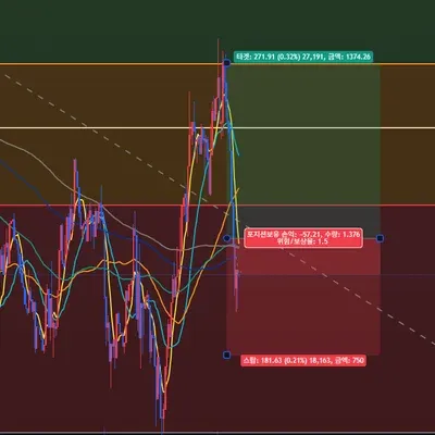 100회 트레이딩(4 / 100)