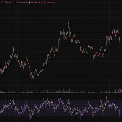 30일 챌린지 23기 2주차