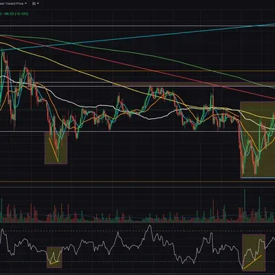 [30일 챌린지 23기 2주차] 
