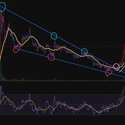 30일 챌린지 24기 1주차