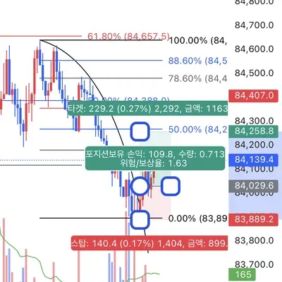 100회트레이딩 챌린지 (30/100)