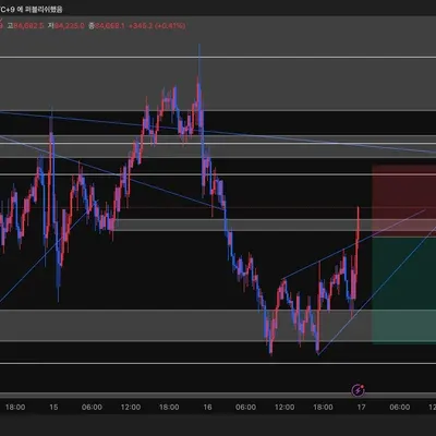 100회 트레이딩(3/100)