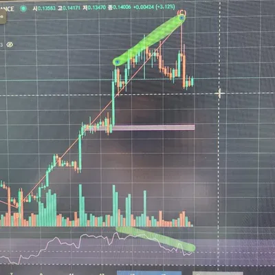 [30일 챌린지 23기 2주차]