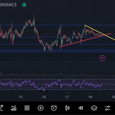 [30일 챌린지 24기 1주차]  작도