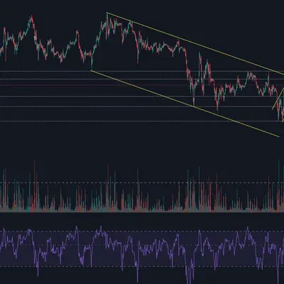 [30일 챌린지 24기 1주차]